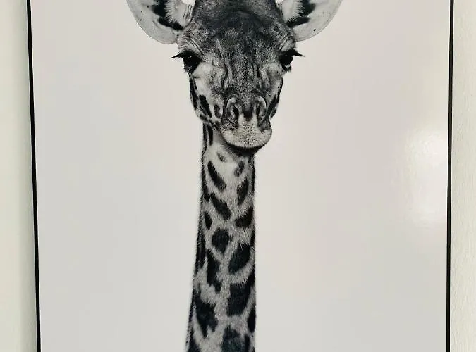 My Exclusive 博恩海姆